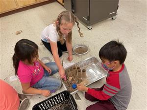 students use teamwork to create a shelter for animals the created from clay